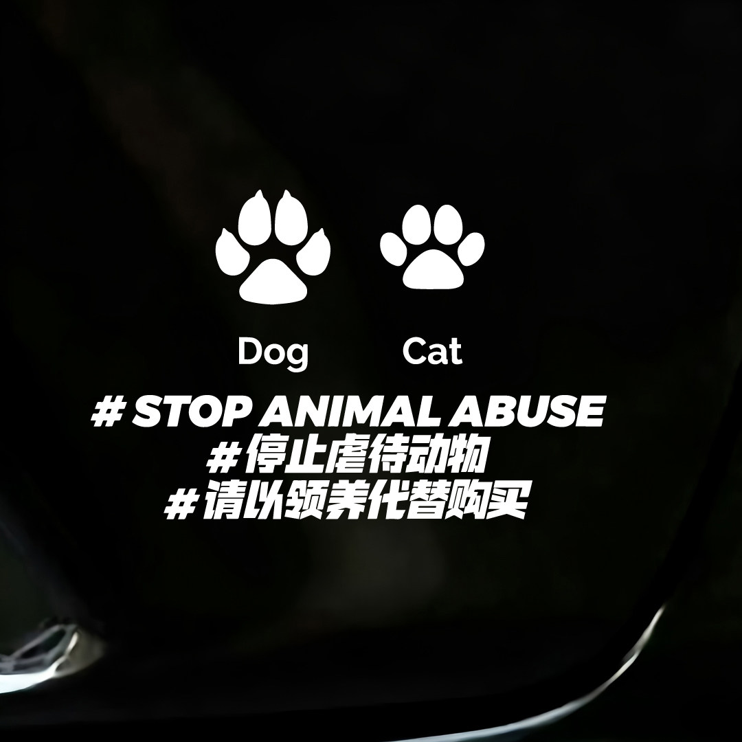 停止虐待动物车贴猫狗爪印标语