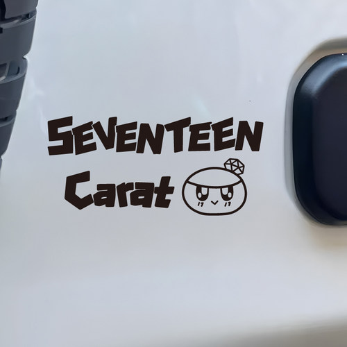 SEVENTEEN巡回演唱会应援车贴