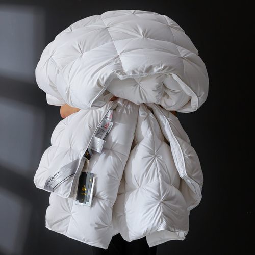 95%羽绒被白鹅绒冬被单双人