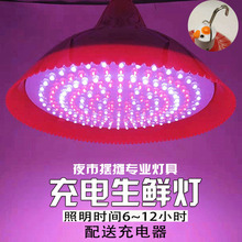停电神器应急灯led充电灯泡 生鲜灯猪肉灯水果夜市摆地摊超亮红光