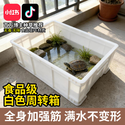 低成本养龟养鱼周转箱水族箱