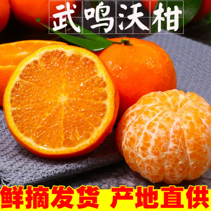 广西武鸣沃柑皇帝贡柑桔子柑蜜橘子新鲜水果当季整箱10斤精品大果