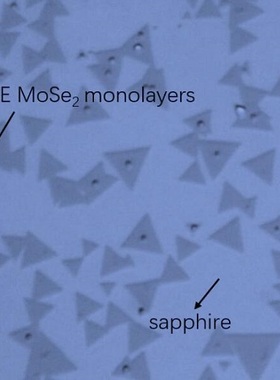分子束外延生长MBE-MoSe2三角形单晶