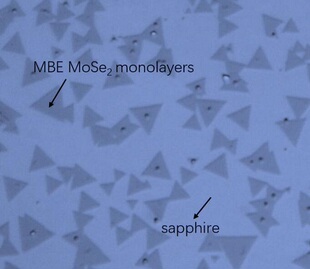 分子束外延生长MBE-MoSe2三角形单晶
