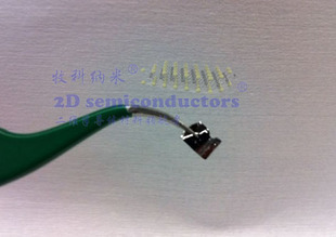 P型二硫化钨单晶 P-type WS2-2D Semiconductor-二维类石墨烯晶体