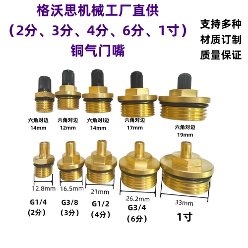 黄铜2分 3分 4分6分1寸气门嘴水管打压气门嘴充气阀容器充气嘴