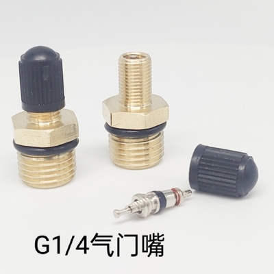G1/4气门嘴充气阀气芯充气嘴 英制2分螺纹铜气嘴