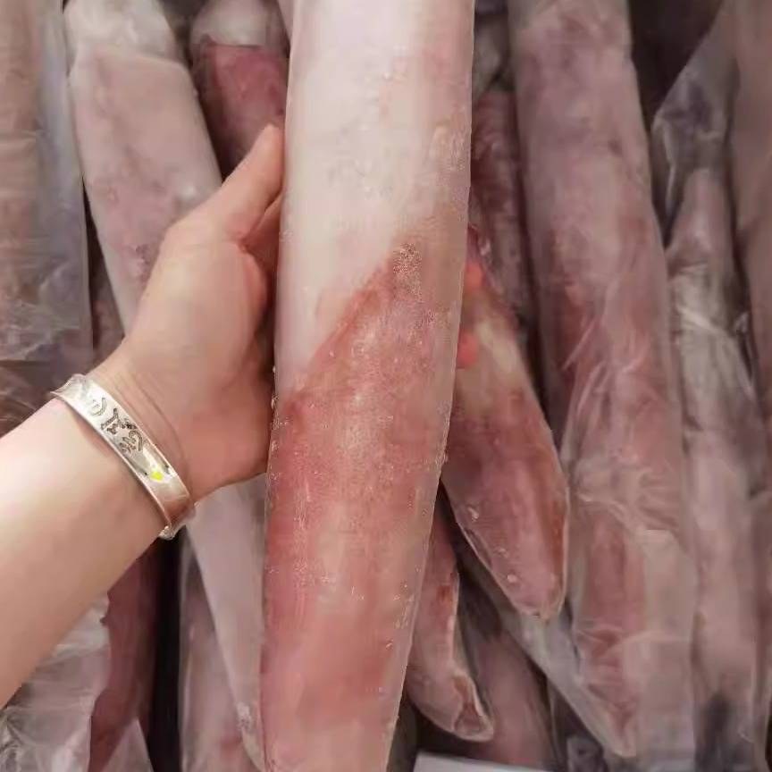 东山岛海手钓大管火箭枪乌贼鱿鱼刺身野生新鲜活冷冻海兔子水晶管