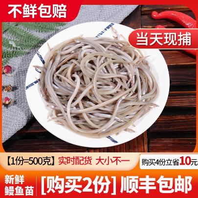 鳗鱼苗油炸椒盐鳗鱼仔厦门水产