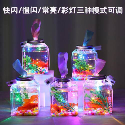 Luminous fish tank, jar, fish bottle, goldfish鱼缸罐子瓶