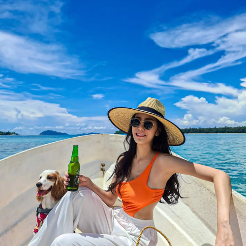 草帽春夏款麦秆旅行优雅法式大檐