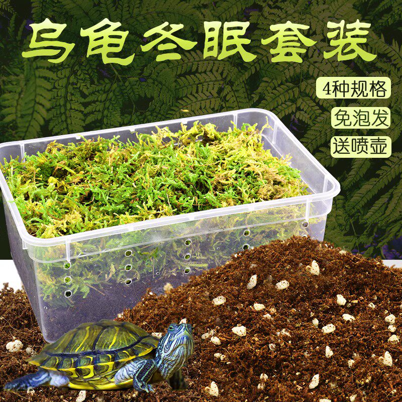 乌龟冬眠用品巴西龟过冬椰土苔藓草沙土垫材保温冬眠窝乌龟冬眠箱