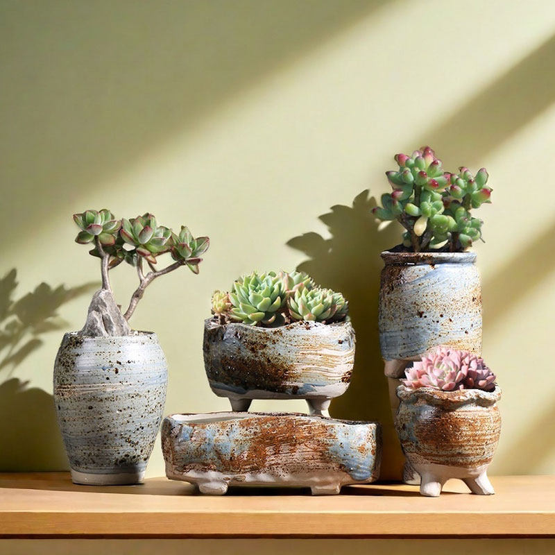 淡雅小多肉花盆陶瓷家用创意绿植粗陶陶盆控根陶土盆清仓特价花盘,鲜花速递/花卉仿真/绿植园艺,花盆,淘宝优惠券,粉丝福利购,淘宝优惠卷