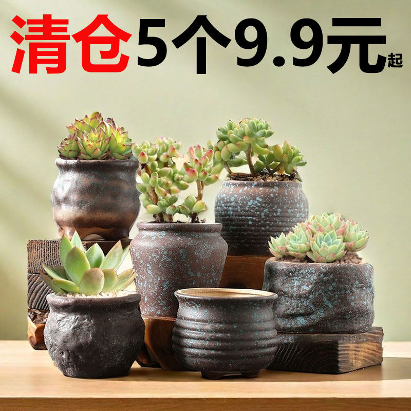 青苔小多肉花盆陶瓷家用创意绿植花盆