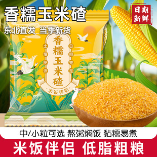 香糯玉米碴东北直发当季 新货米饭伴侣粗粮煮粥香糯小碴子粘玉米碴