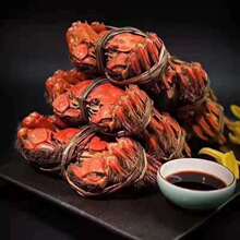 固城湖大闸蟹鲜活特大高淳螃蟹5~6两公蟹4~4.5两母蟹九指蟹六只装