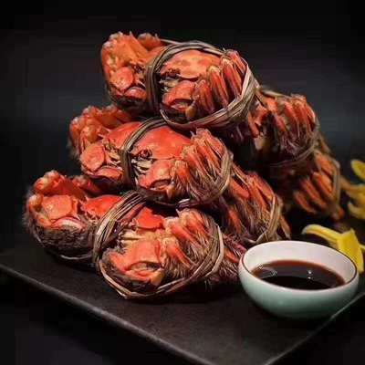 淳澄固城湖大闸蟹蟹农直发