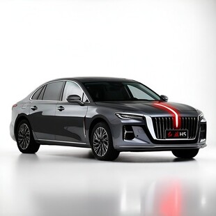 适配红旗旗标灯常亮模块解码器25款H5H6H9HS5/2.0T中网流光灯玄影