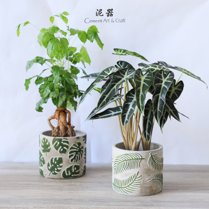龟背竹水泥花盆透气北欧