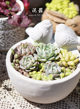 泥器创意个性简约动物小鸟水泥花盆铜钱草水培植物多肉拼盆摆件