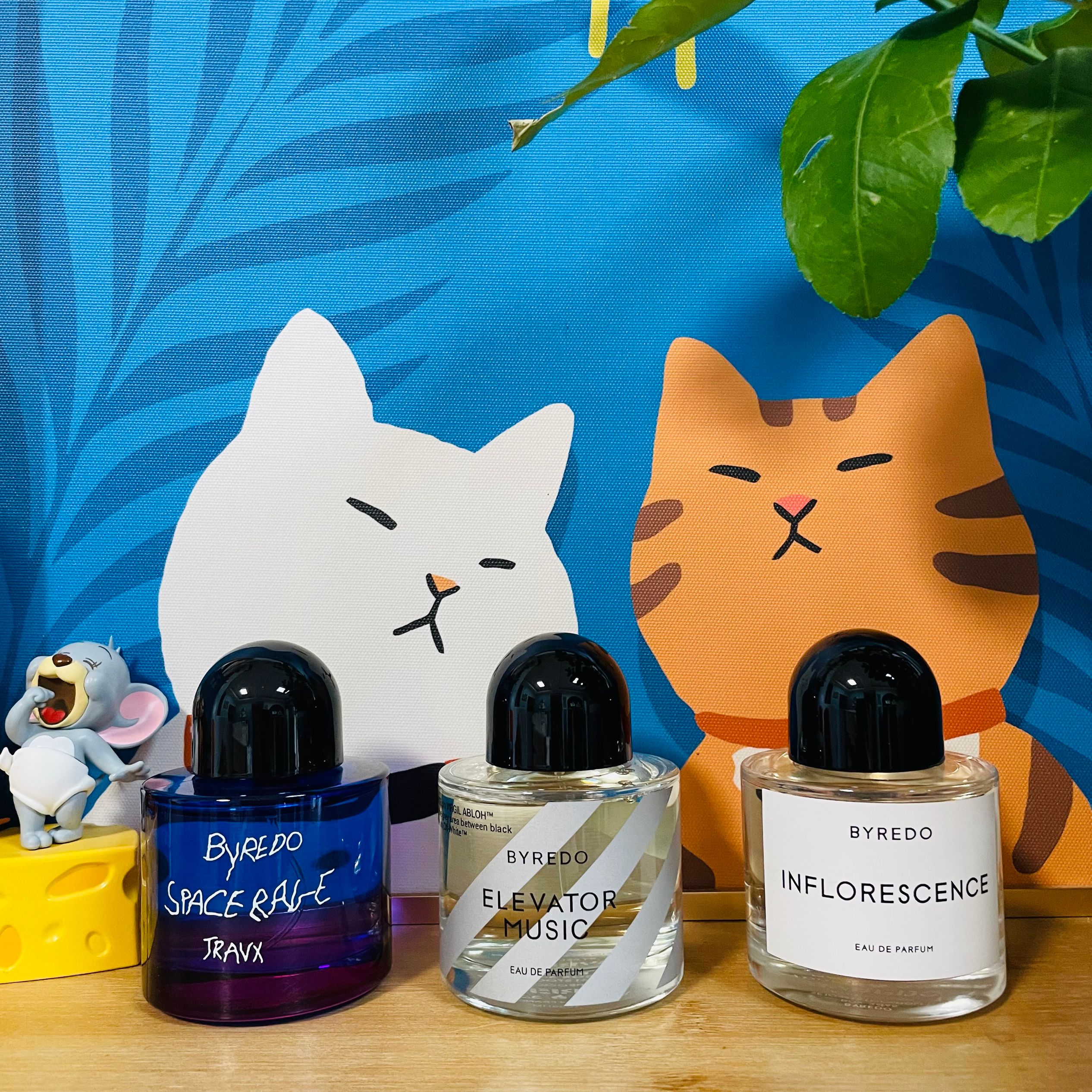 无人区玫瑰小样超级雪松BYREDO