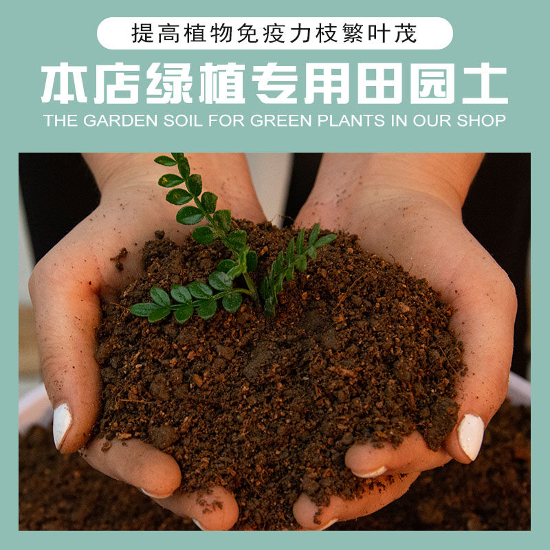 绿植专用混合营养土种菜种花发财通用植物有机土壤天堂鸟田园泥土