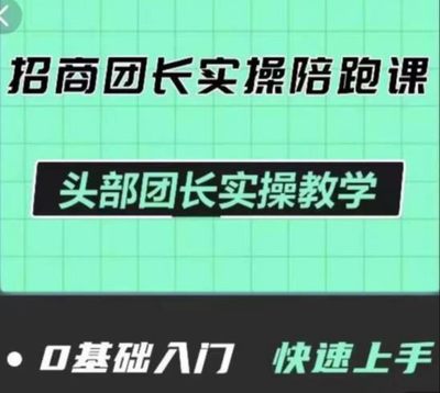 抖盟电商招商团长实操陪跑课抖音0基础入门快速上手高清视频课程