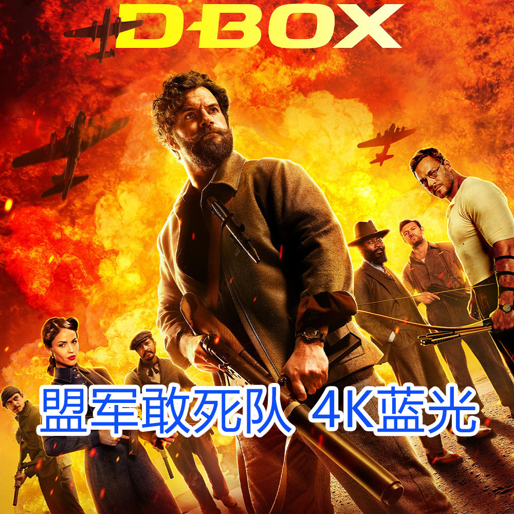 盟军敢死队电影 4k蓝光超高清 (2024) 宣传画