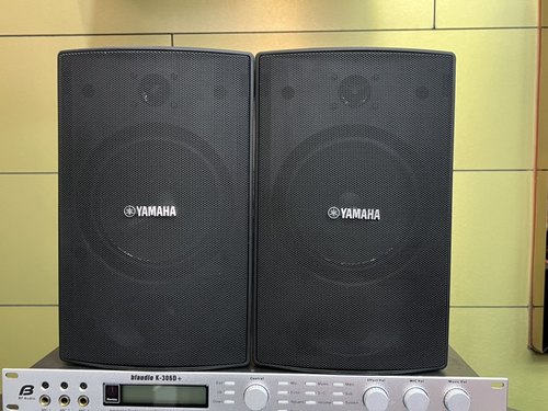 二手原装进口日本YAMAHA/雅马哈 NS-AW294全天候壁挂防雨音箱