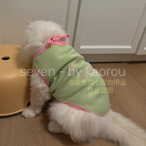 可爱新款防掉毛金吉拉秋冬猫衣服