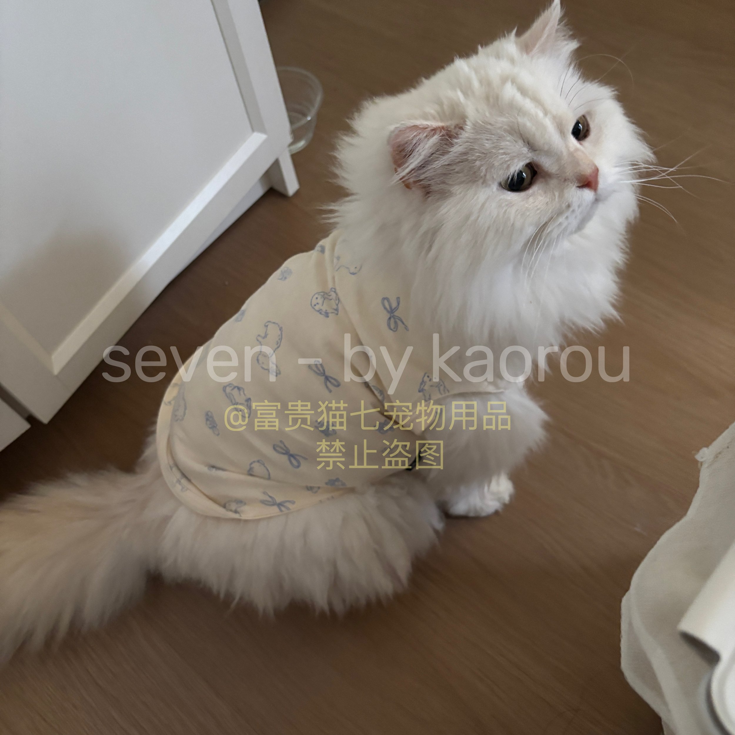 宠物猫咪衣服防掉毛夏季薄款小猫休闲背心透气家居服布偶蓝猫泰迪