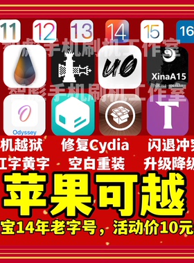 适用于苹果Palera1n 帕梅拉iOS15.0~18.1越狱16.7.12 iPhone IPad