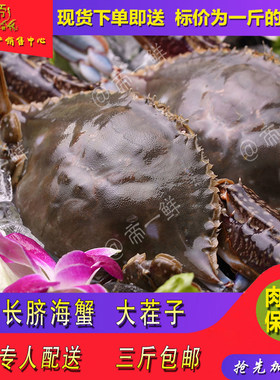 渤海湾梭子蟹公海蟹螃蟹长脐海鲜碴子蟹【保鲜保肥不保活】500g