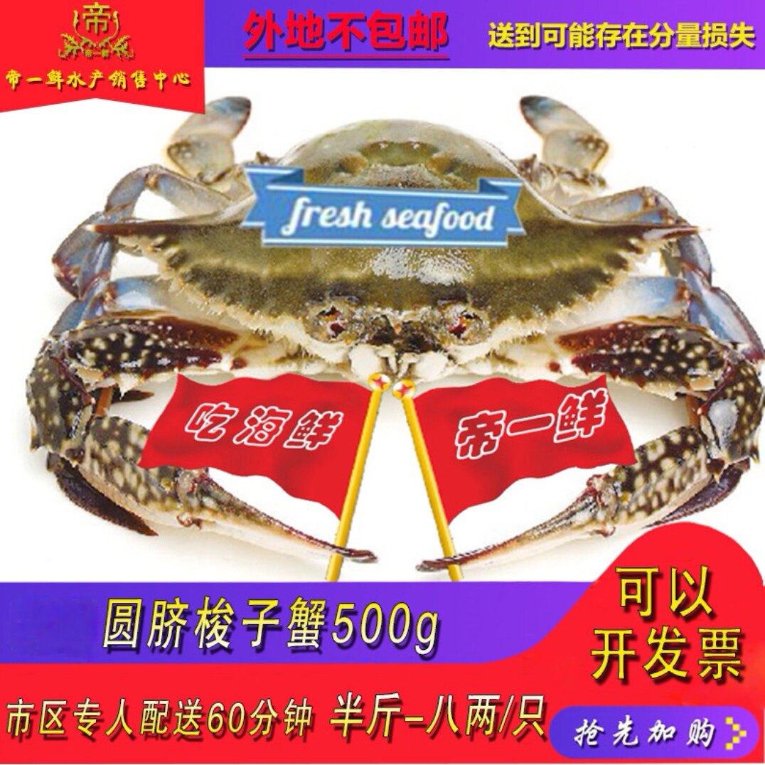 天津满黄母海蟹螃蟹圆脐梭子蟹保肥 保鲜不包活/非冻蟹 500g/份