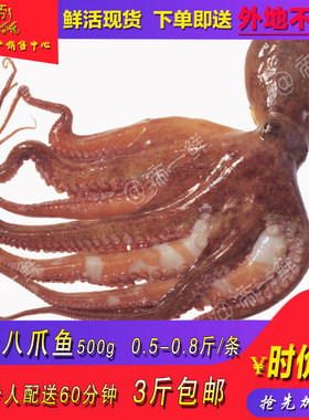 天津章鱼足活体海鲜水产