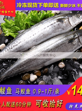 天津鲅鱼马鲛鱼台鲅鱼一条新鲜海鲜水产深海捕捞同城海鲜水产配送