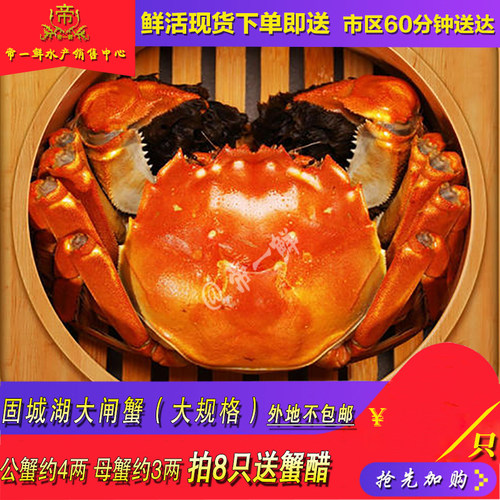 天津大闸蟹鲜活礼盒海鲜包邮