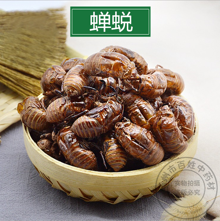 中药材 蝉蜕 虫蜕水洗蝉衣 虫退蝉壳蝉蜕 知了壳 散装100g克