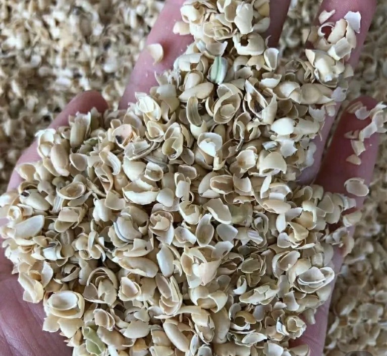 中药材扁豆衣白扁豆衣扁豆皮
