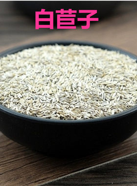 中药材店铺 白苣子 苣蕂子 白苣胜 生菜子 莴苣籽 散装新货500g克
