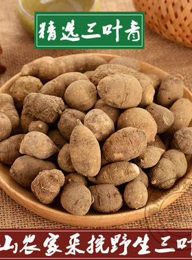 中药材三叶青正品三叶青茶新鲜