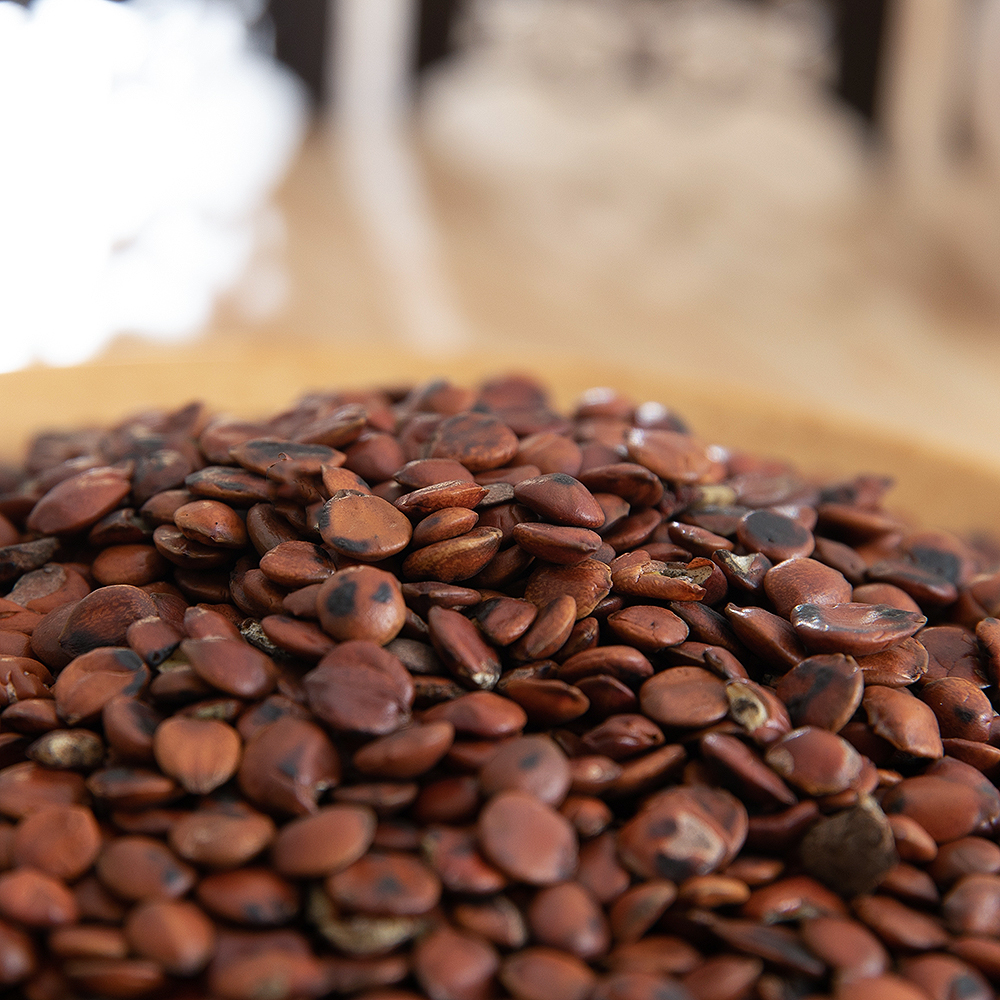 中药材 炒酸枣仁 正品炒枣核茶助眠 熟山枣仁 非特级新货100g克