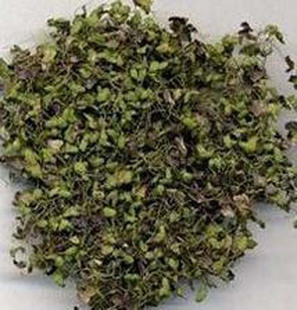 散装 正品 百姓中药材 水草干 包邮 浮萍草 新货中药材500g克