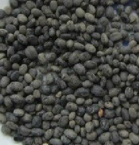 中药材店铺 马料豆 野黑豆 料豆 乌豆 细黑豆 稽豆 新货500g克