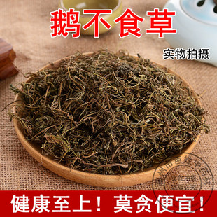 中药材店铺 野生鹅不食草 自然晾晒 散装新鲜干货500g克包邮