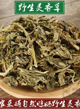 中药材灵香草云草芸香草野生