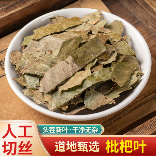 正宗琵琶叶新鲜中药材
