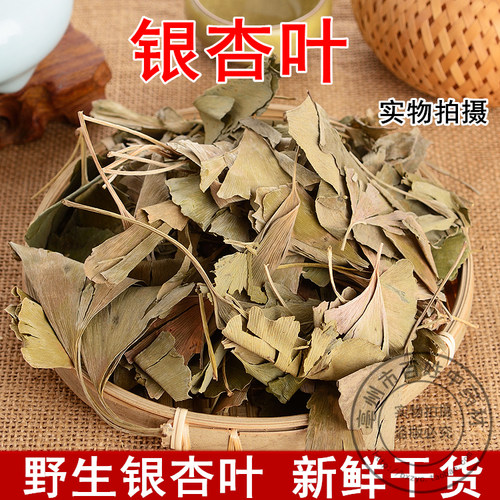 特级银杏叶新鲜无硫散装中药材