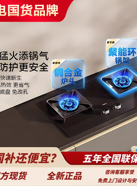 老板57B8A/51B0A/G1/D2/G2/58B8N燃气灶大火力E2/E2P/D2P/58B9A