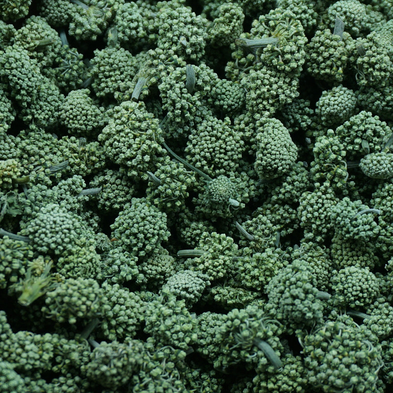 云南三七花茶 特级 正品四年生文山特产田七花 新花500g/100g包邮